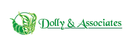 Dolly and Associates Ltd.